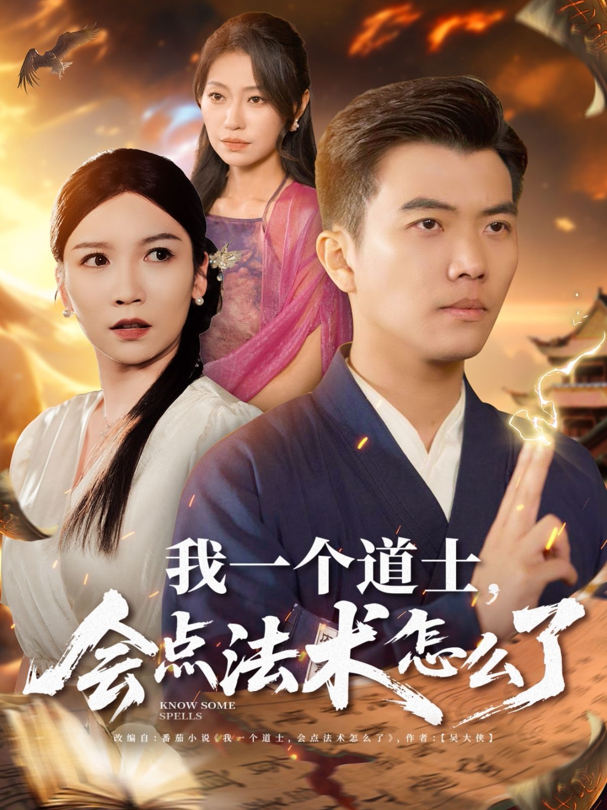 我一个道士会点法术怎么了