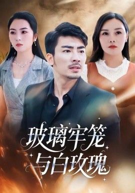 玻璃牢笼与白玫瑰