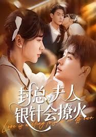封总，夫人银针会撩火