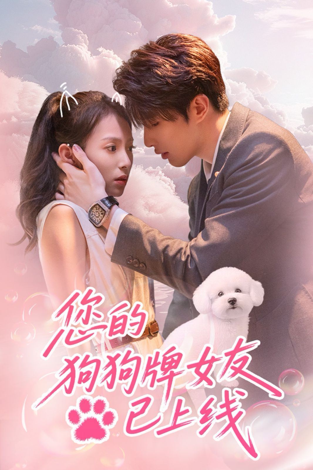 您的狗狗牌女友已上线